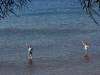 at-the-beach