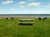 picnic-table