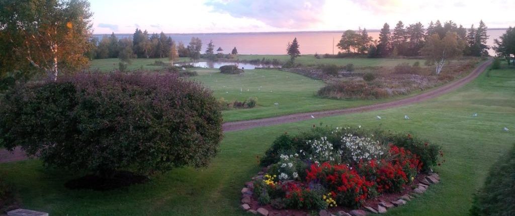 View From Dining Room