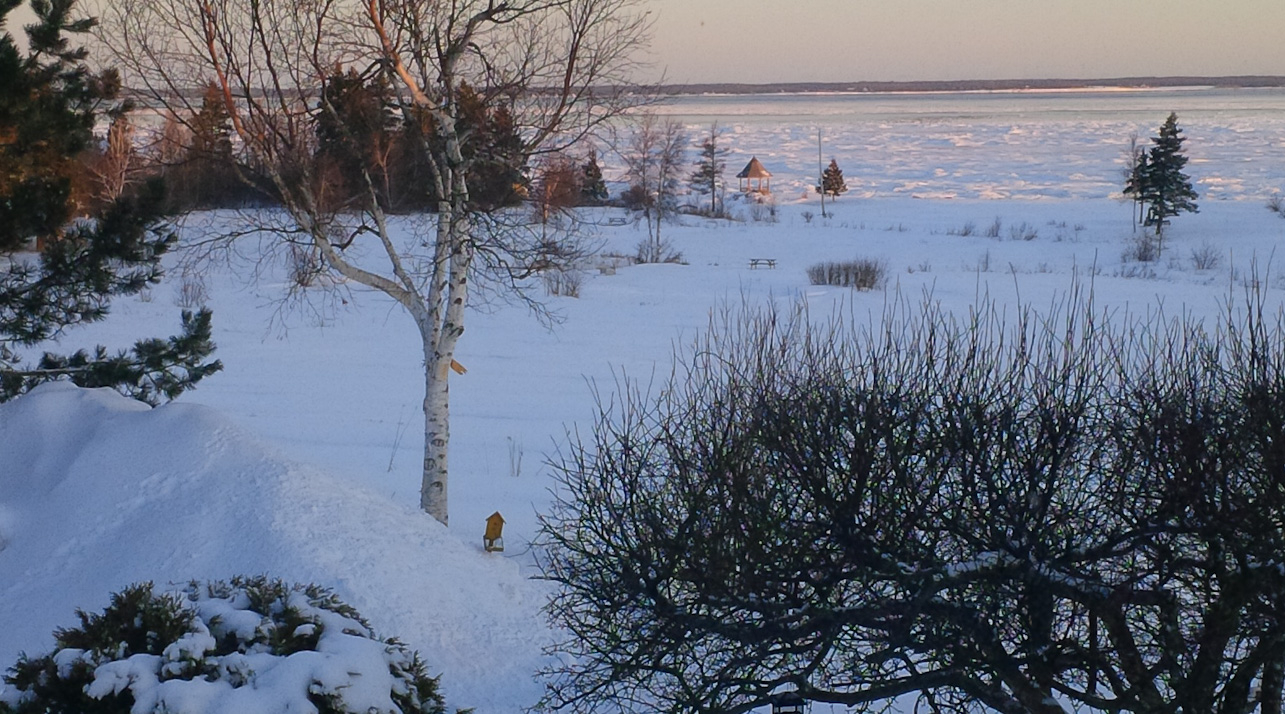Winter View DiningRoom